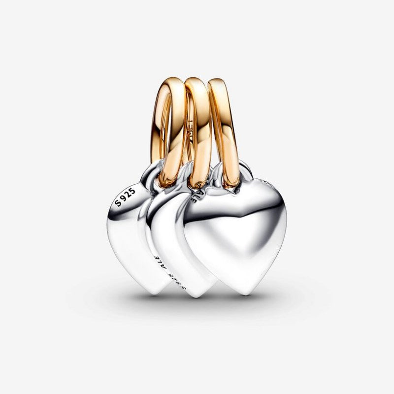 Pendant Charm "Friends forever" Divisible