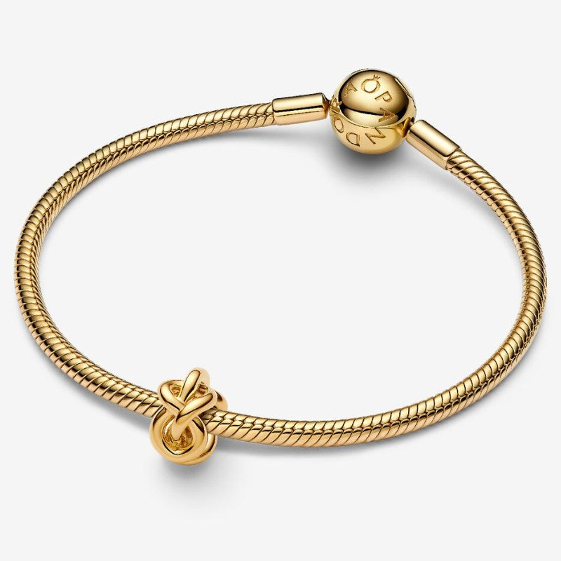 Charm Nodo d'Amore Eterno