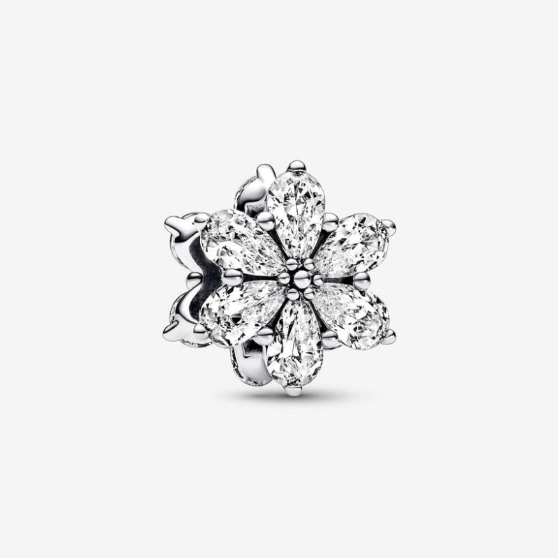 Charm herbario de flores luminosas