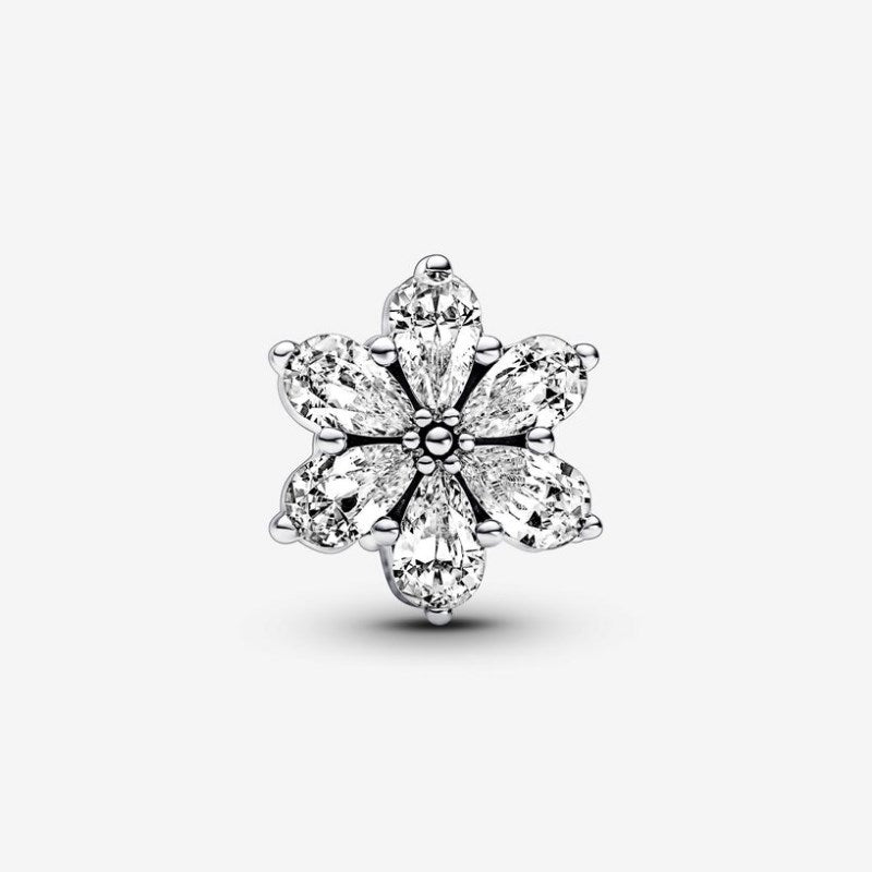 Charm herbario de flores luminosas