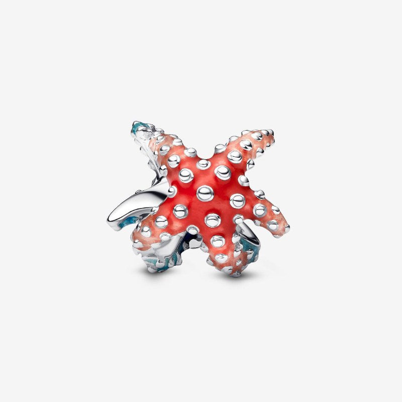 Charm Stella Marina Colorata