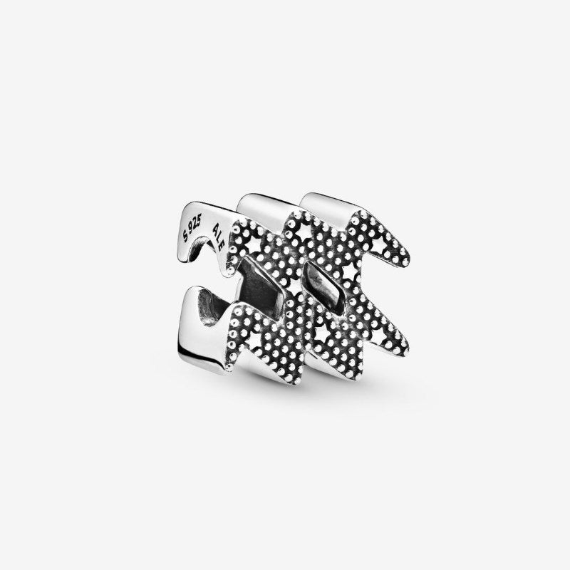Aquarius zodiac charm