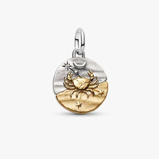 Charm Medallion Cancro