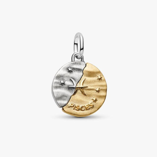 Charm Medallion Pesci