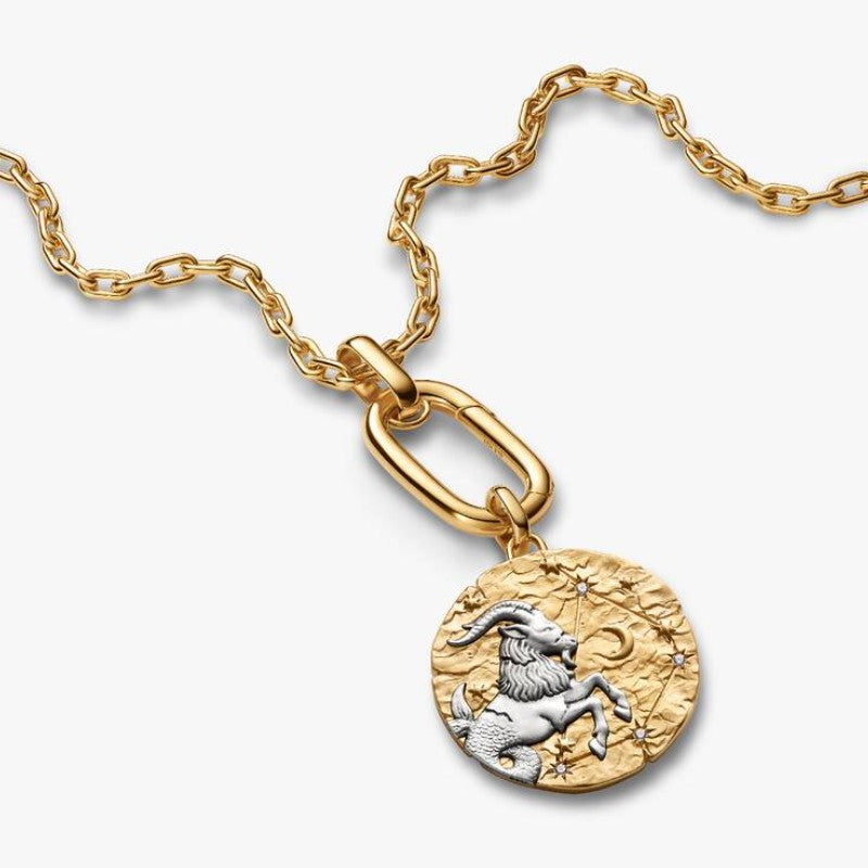 Charm Medallion XL Capricorno "Nihil Difficile Volenti"