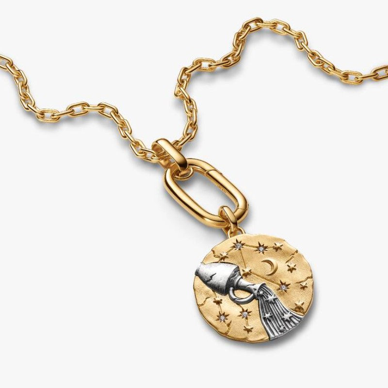 Charm Medallion XL Acquario "Omnia Mutantur"