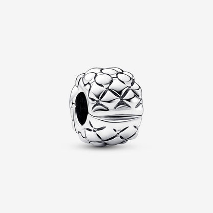 Geometric Clip