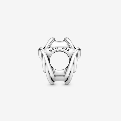 Charm Cuori Intrecciati Insieme Per Sempre